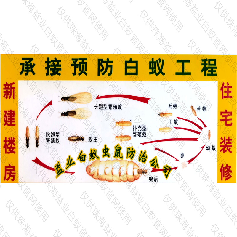 板芙專業新建預防哪家好